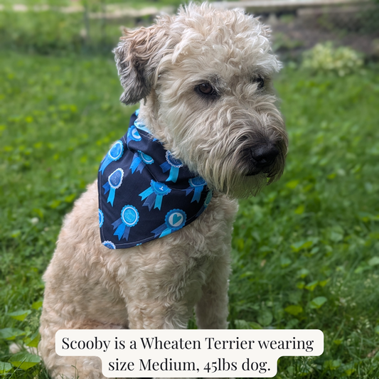The Pet Bandana – Reversible Dog Bandana | Handcrafted in Michigan