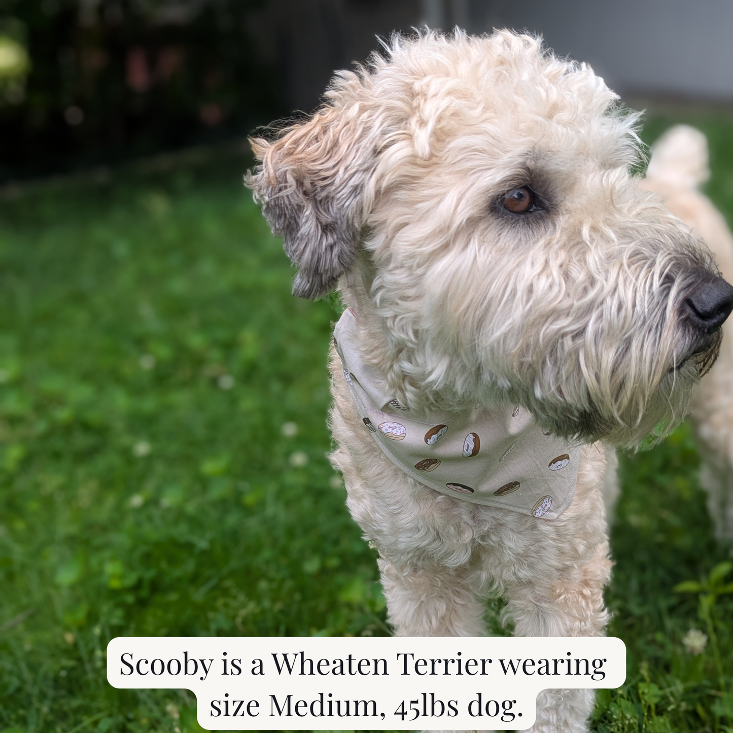 The Pet Bandana – Reversible Dog Bandana | Handcrafted in Michigan